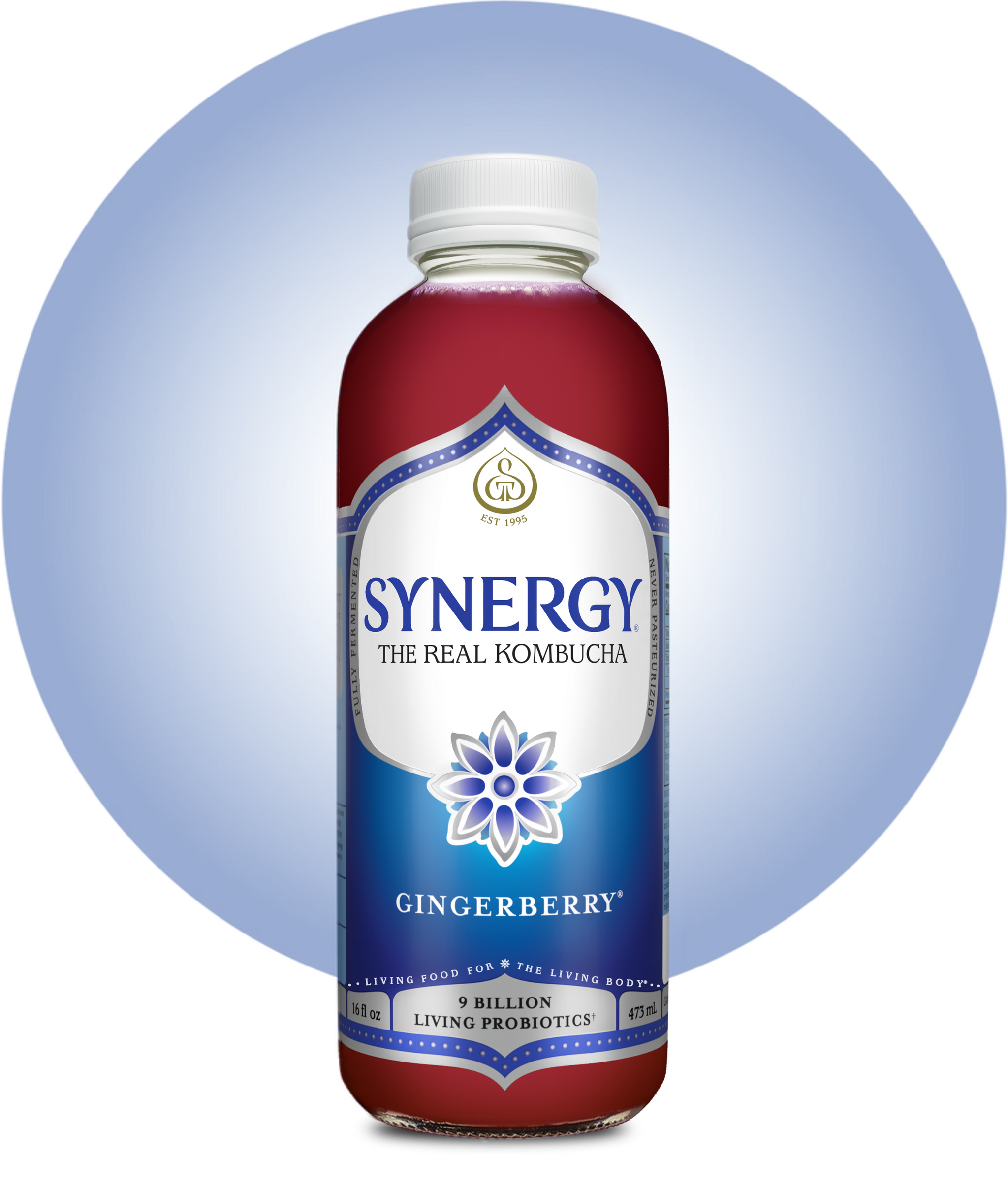 Gingerberry, image size:2048x2419