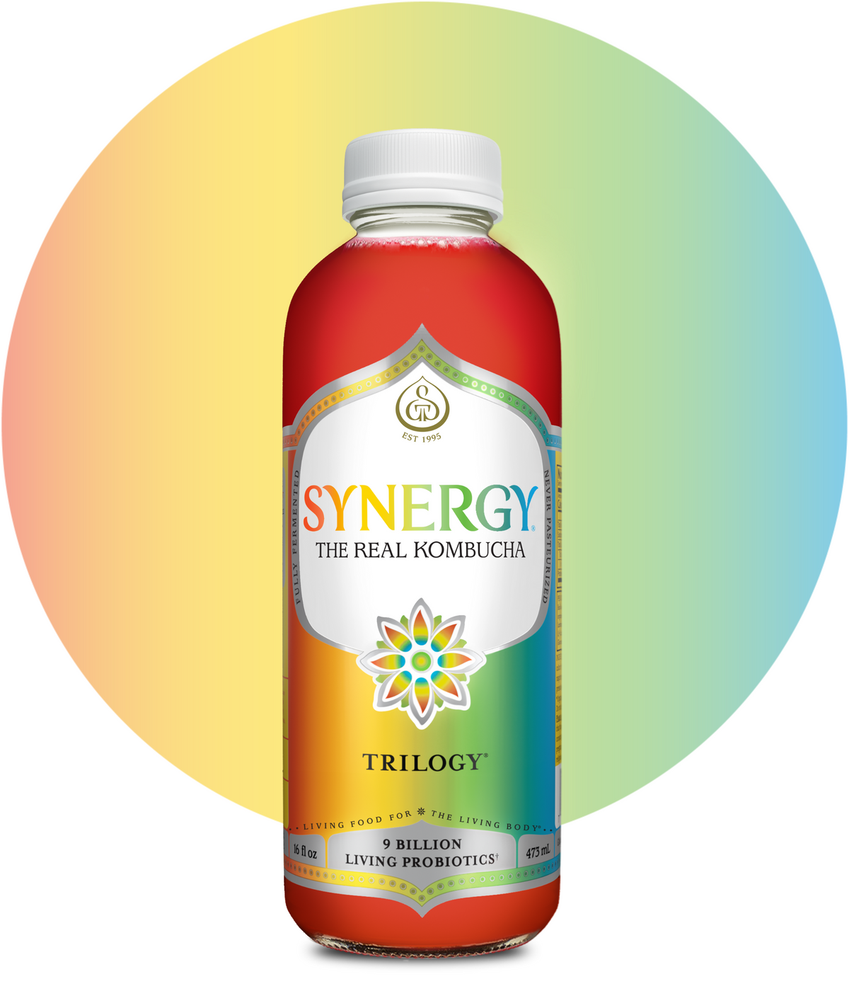 Synergy The Real Kombucha Trilogy Pack
