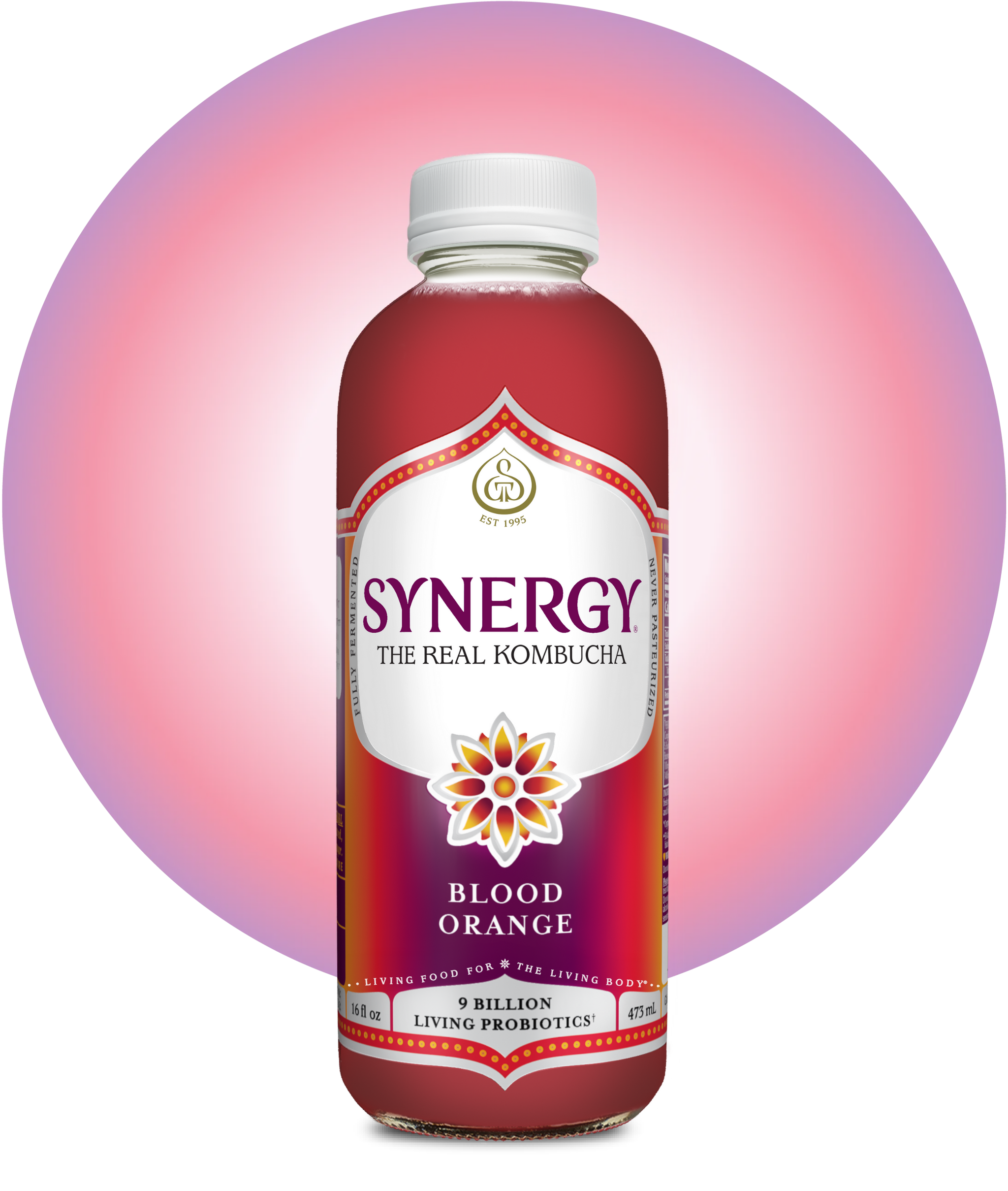 Blood Orange, image size:2048x2419