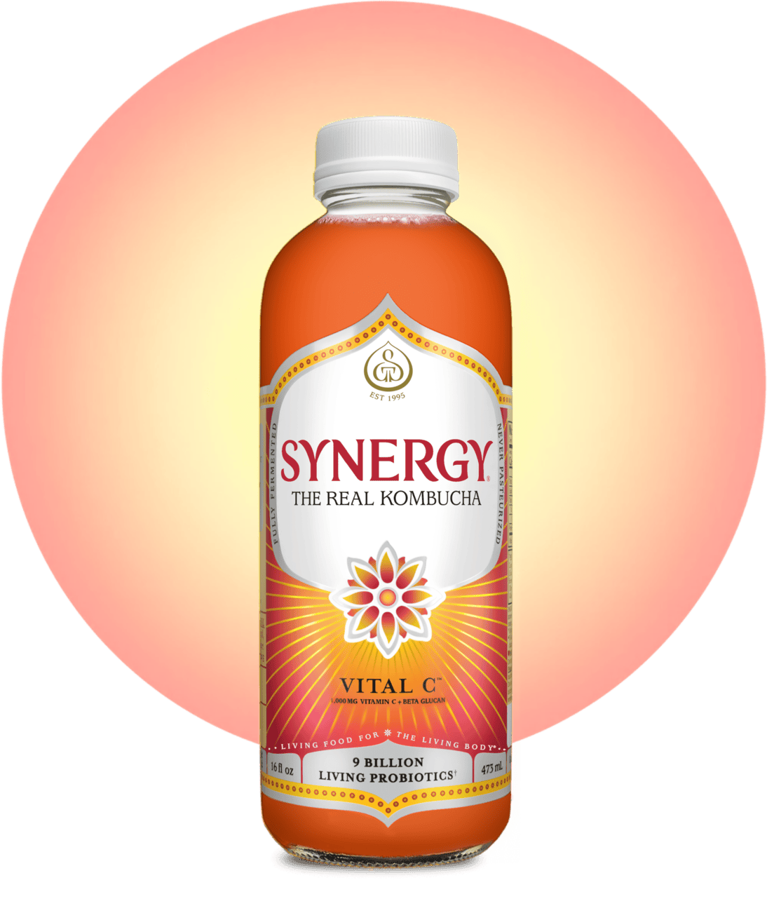 kombucha does it have glutathione or beta glucans Probiotic and Bioactive Compounds in Foods: From Antioxidant Properties to Gut Microbiota Modulation Vital C