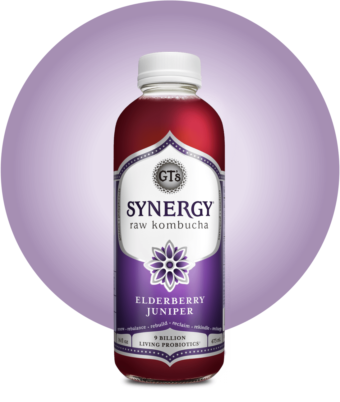Elderberry Juniper SYNERGY Raw Kombucha Bottle