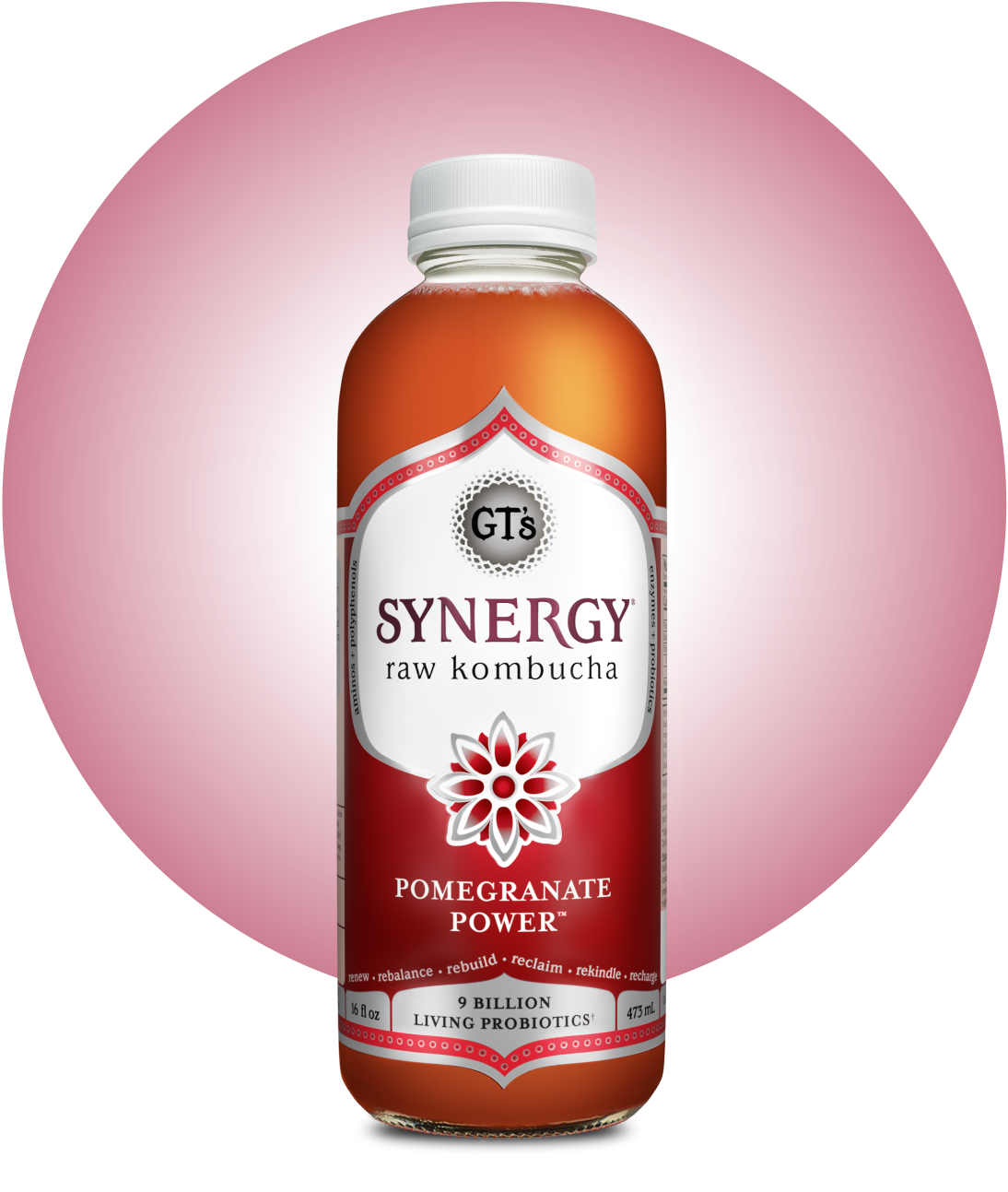 GT's SYNERGY Raw Kombucha Pomegranate Power Bottle