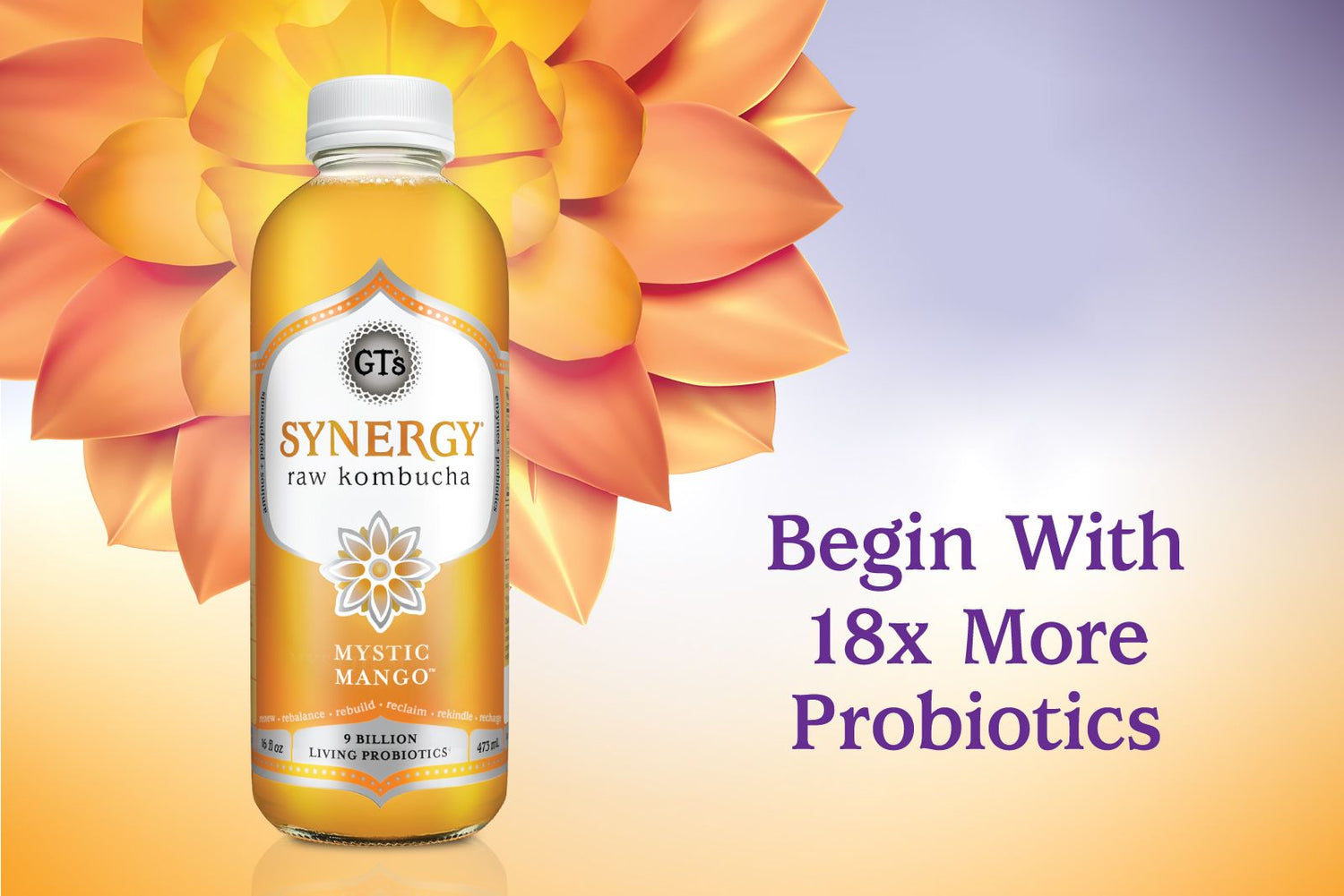 Begin Within: The Next Chapter for SYNERGY Kombucha