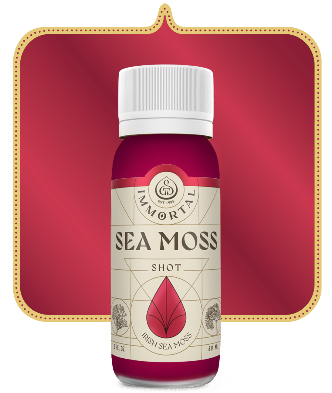 GT's Immortal, Sea Moss Shot