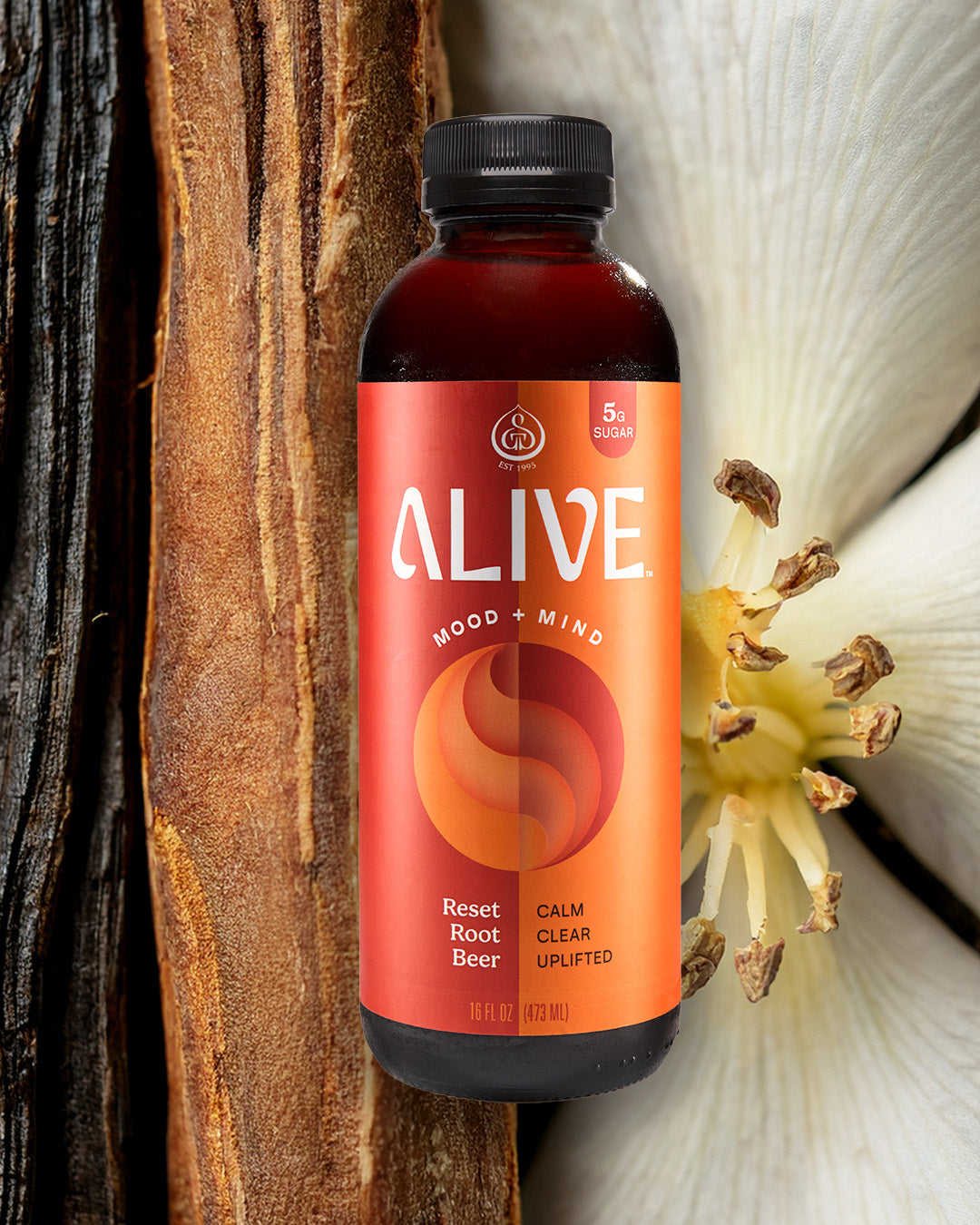 ROOTS SUPPLEMENT V.A GUSSIE P レアLP‼️ CLO3207LP-PH-1_grande.png?v=