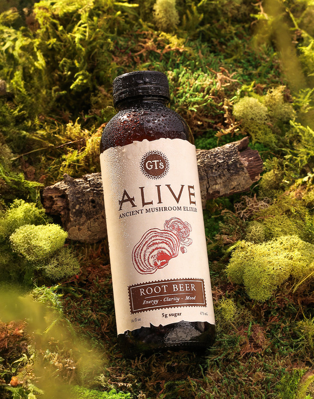 Alive Roots Root Beer