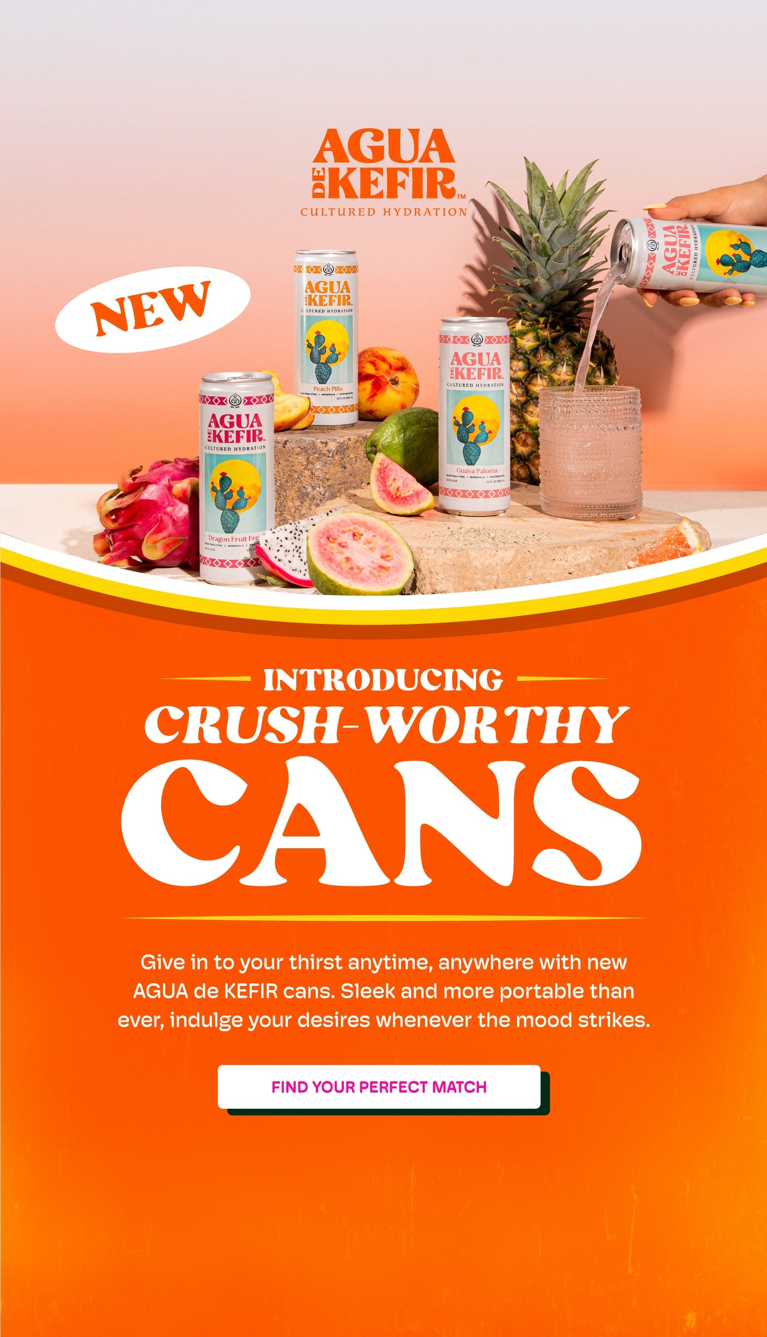 Kombucha, Kefir, Coconut Yogurt, Adaptogenic Tea