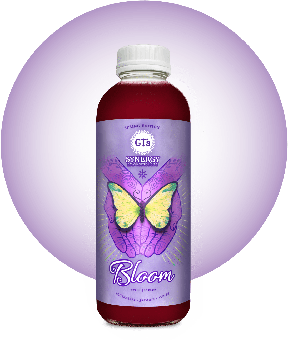 GT's Bloom SYNERGY Raw Kombucha Bottle