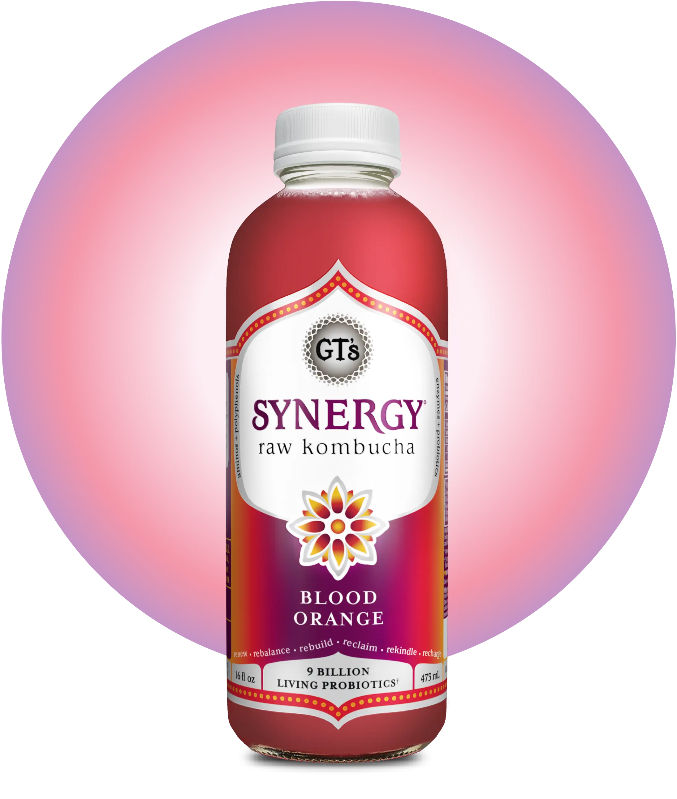 GT's SYNERGY Raw Kombucha Blood Orange Bottle