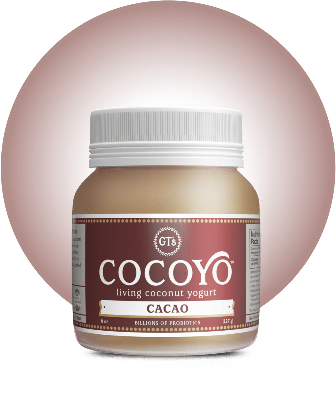 GT's COCOYO Cacao Bottle Render