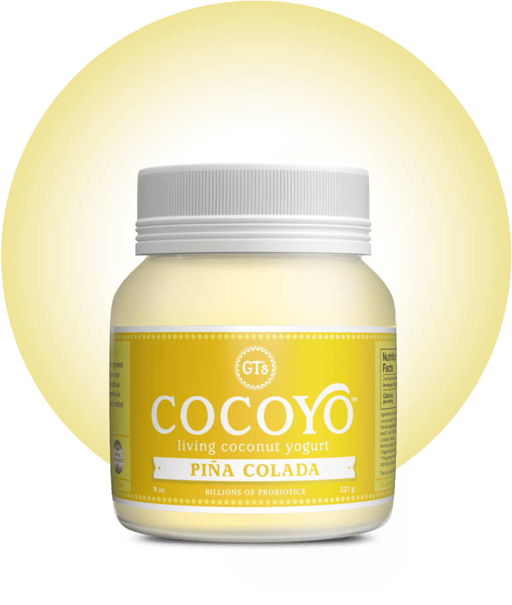 Coco Yo Raspberry Coconut Yogurt | CocoYo | GT's Living Foods