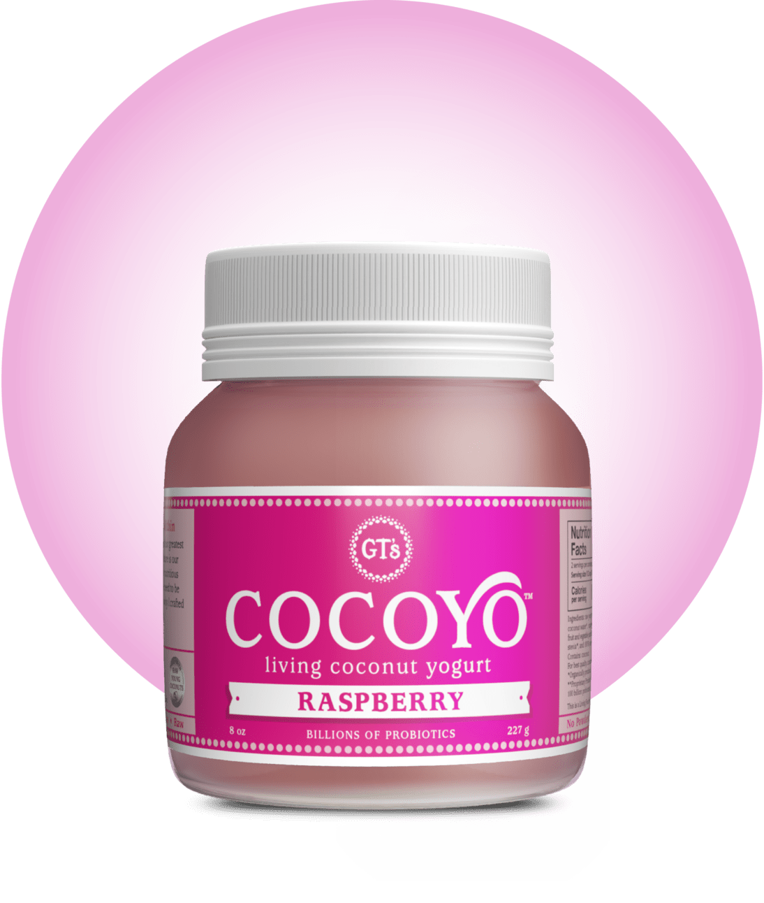 Coco Yo Raspberry Coconut Yogurt | CocoYo | GT's Living Foods