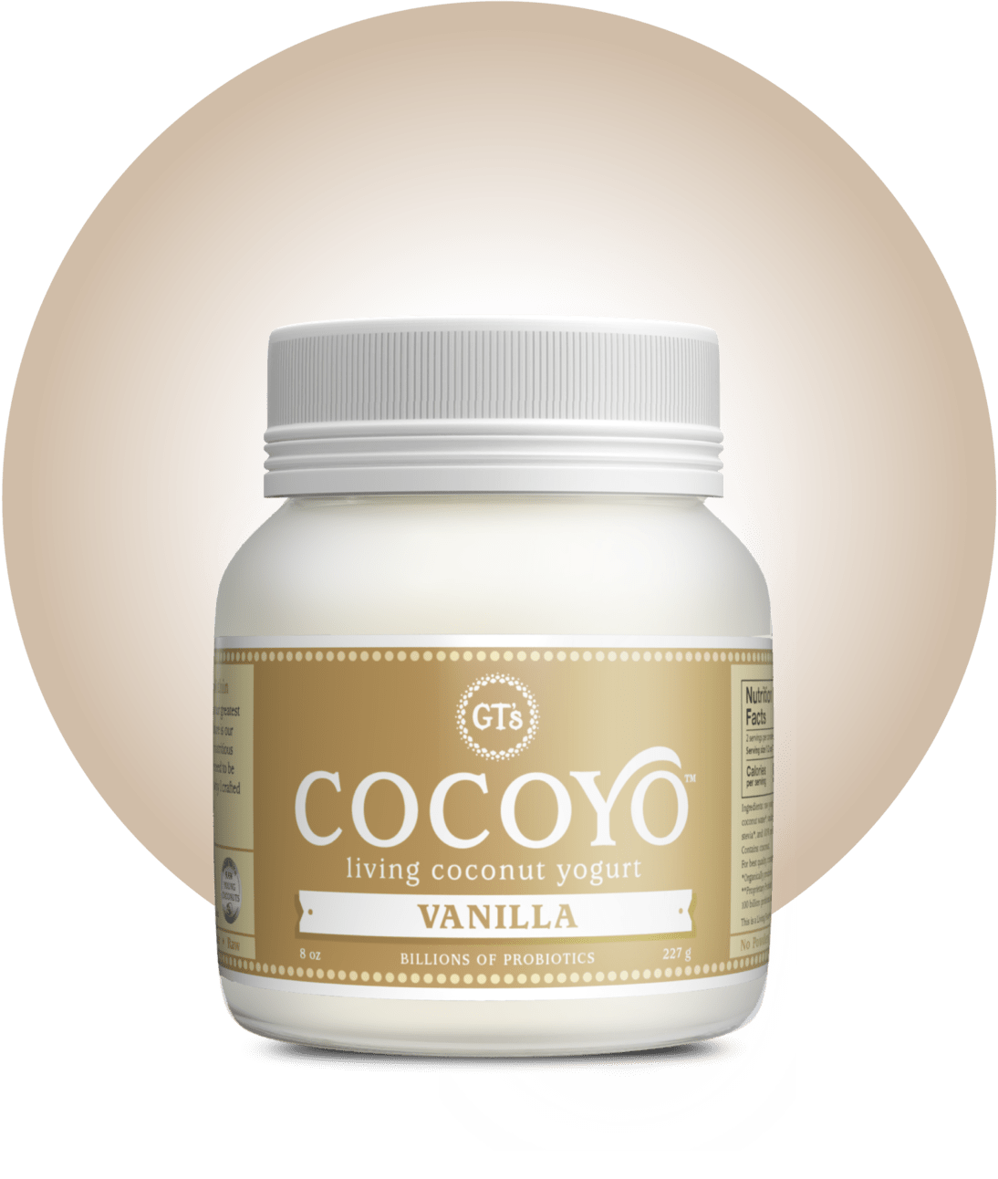 GT's COCOYO Vanilla Bottle Render