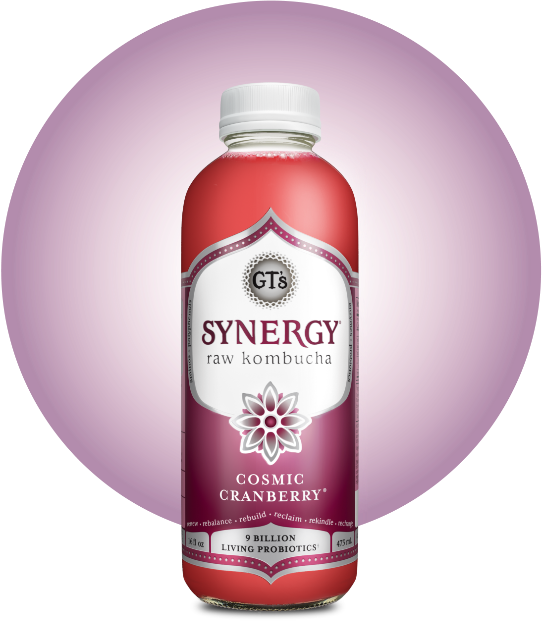 GT's Cosmic Cranberry SYNERGY Raw Kombucha Bottle