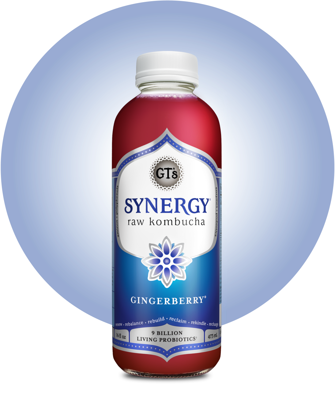 GT's SYNERGY Raw Kombucha Gingerberry Bottle