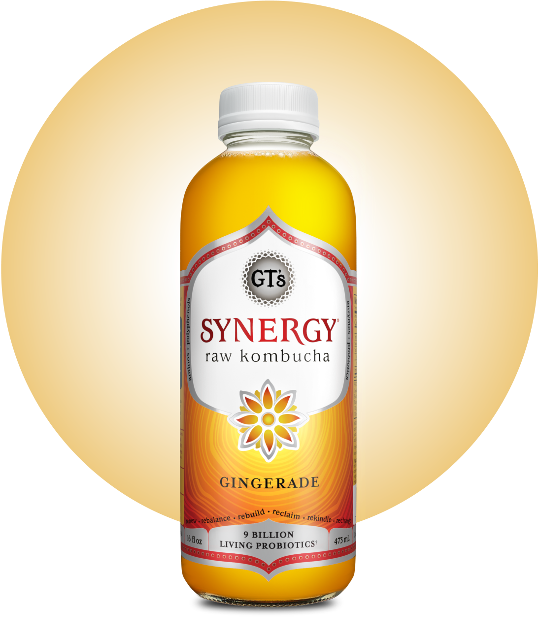 GT's SYNERGY Raw Kombucha Gingerade Bottle