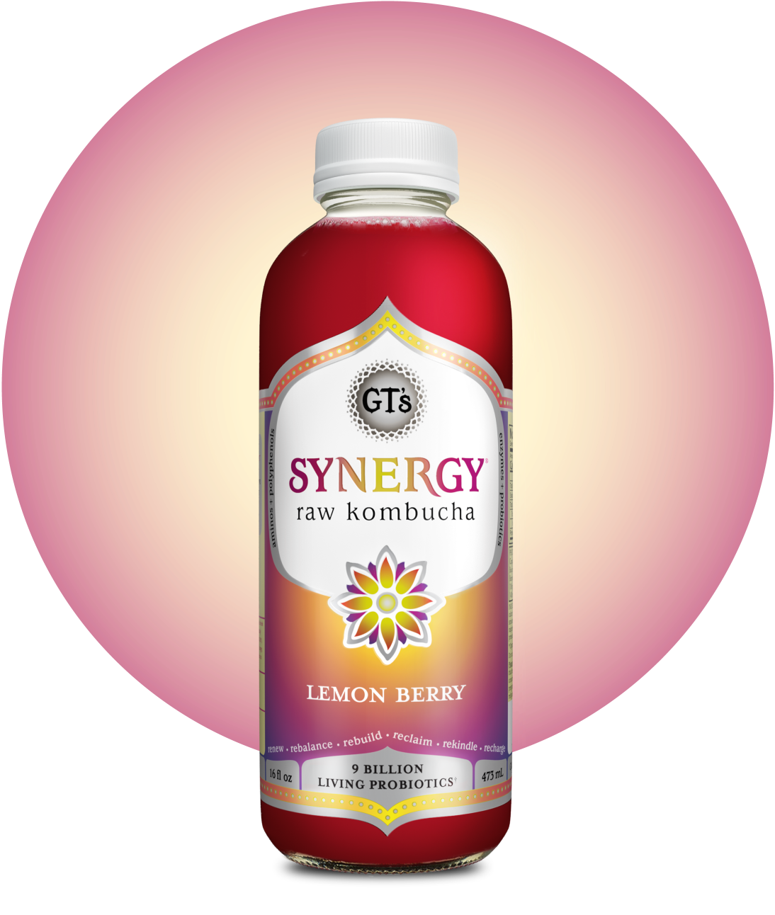 Synergy Kombucha Tea