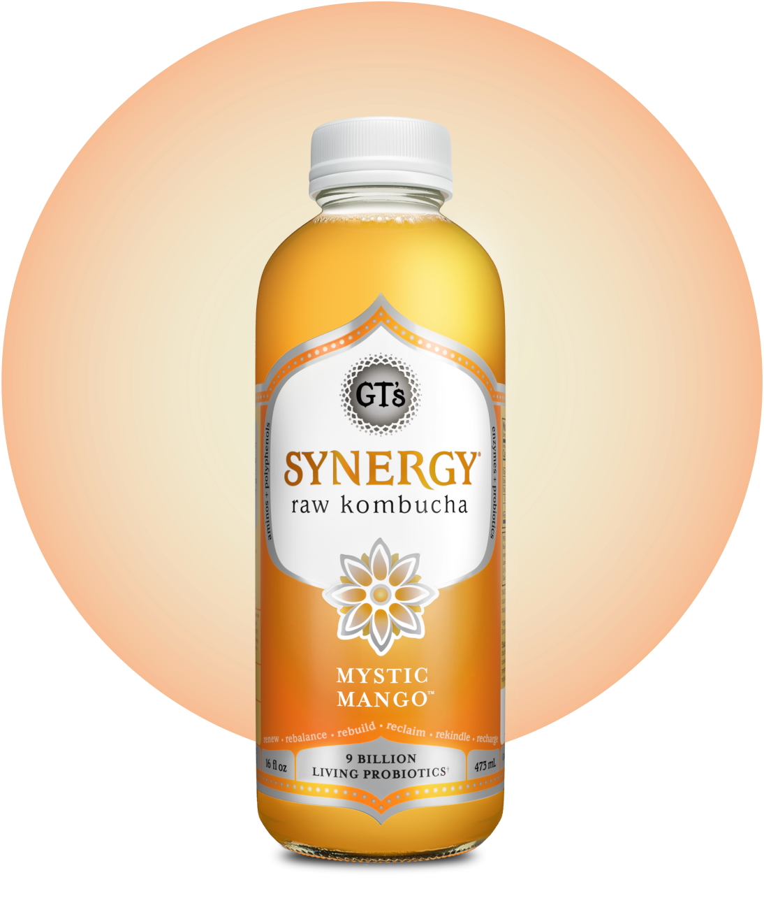 GT's SYNERGY Raw Kombucha Mystic Mango Bottle