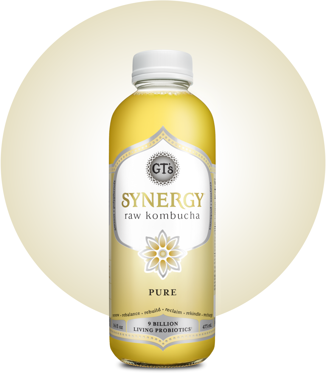 GT's SYNERGY Raw Kombucha Pure Bottle