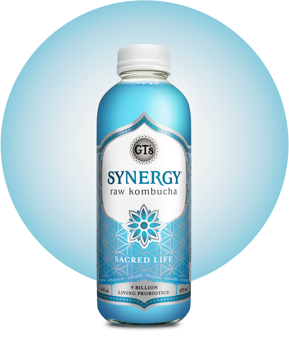 GT's SYNERGY Raw Kombucha Sacred Life Bottle