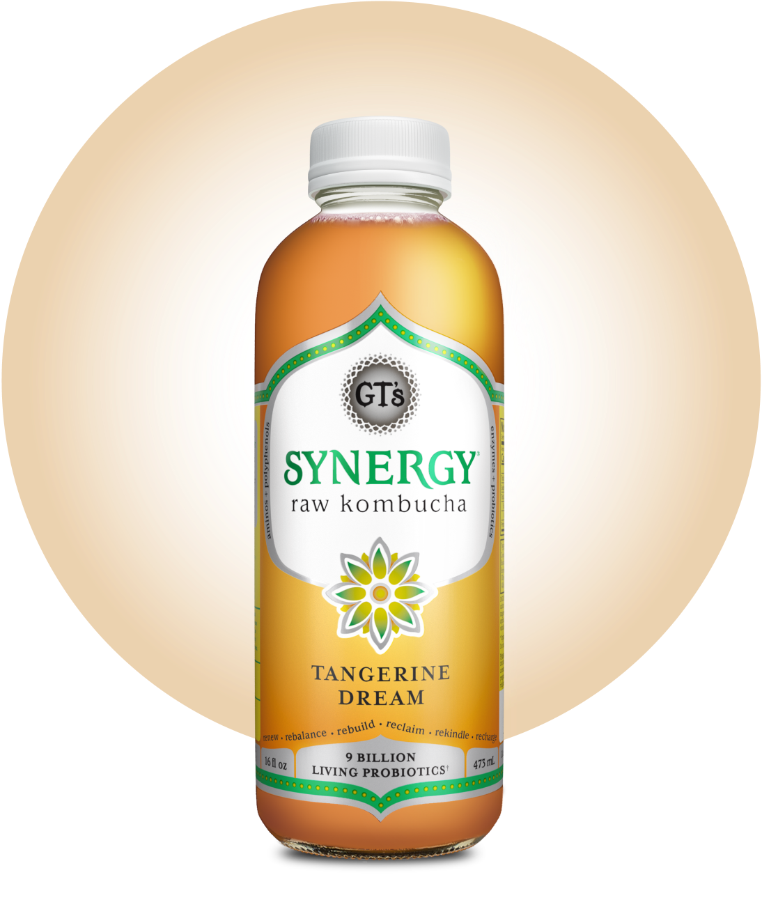 GT's SYNERGY Raw Kombucha Tangerine Dream Bottle