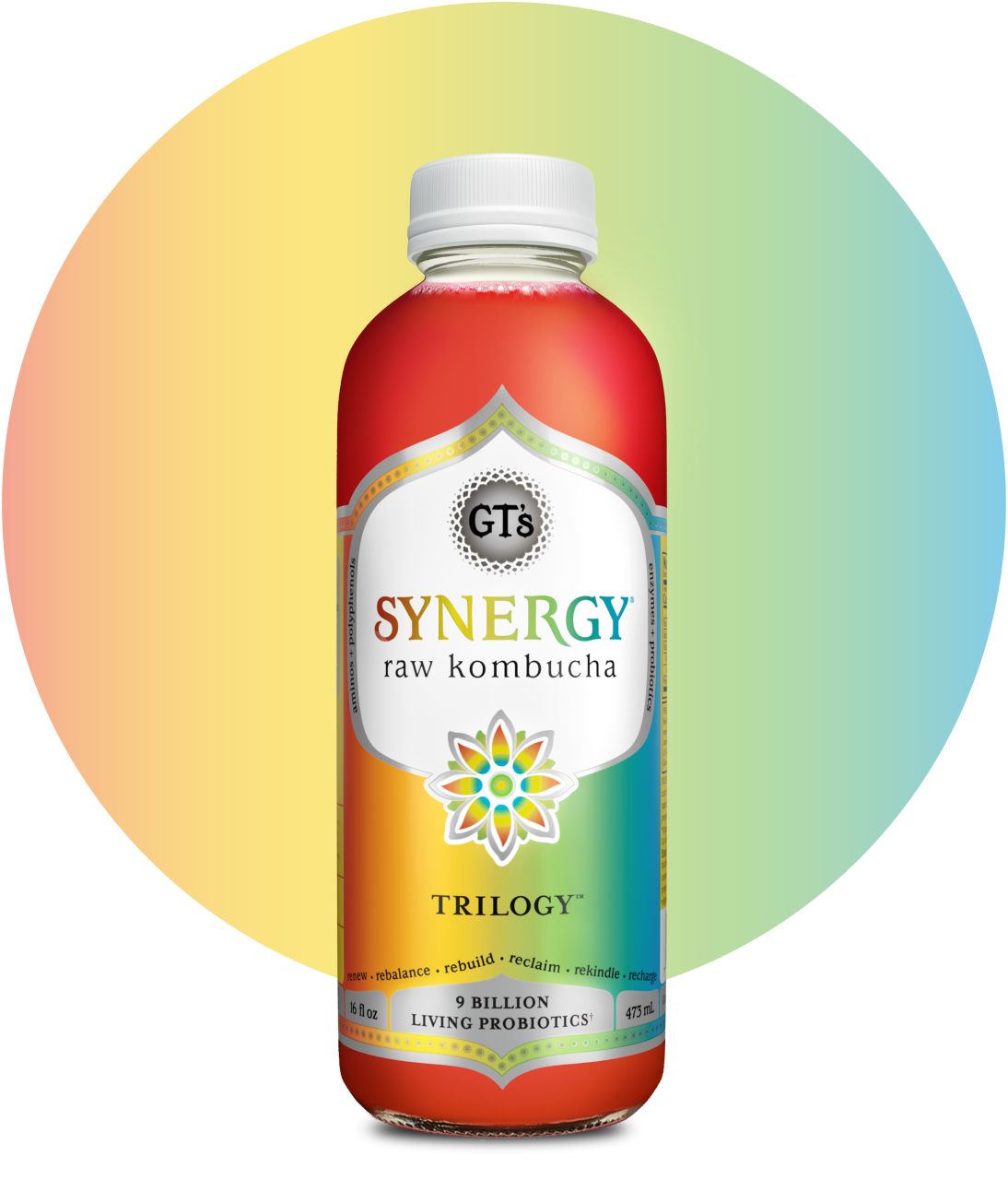 GT's SYNERGY Raw Kombucha Trilogy Bottle